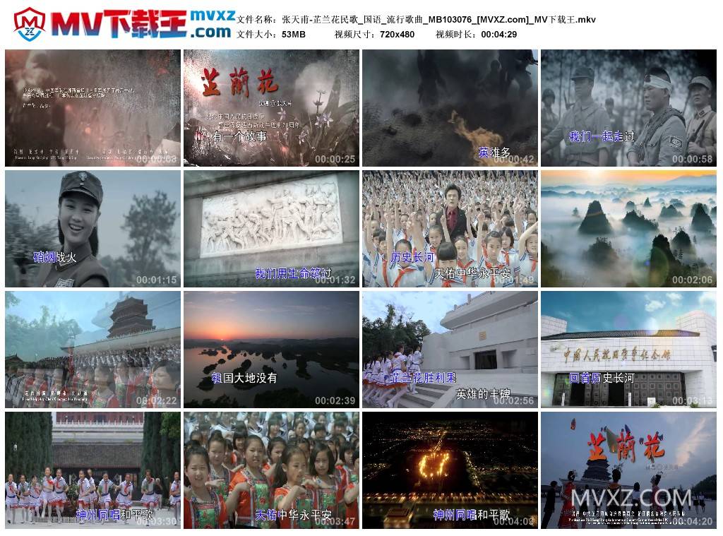张天甫-芷兰花民歌_国语_流行歌曲_MB103076